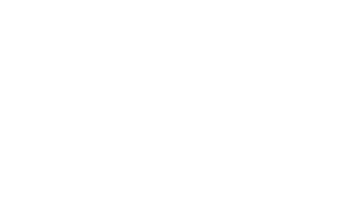 MEI logo